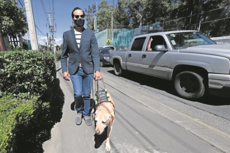Perritos que prestan sus ojos