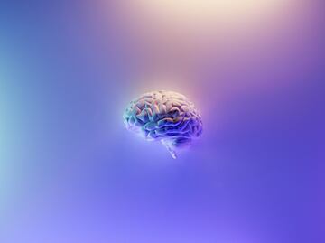 4 alimentos que consumes diariamente y podrían dañar tu cerebro