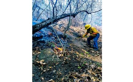 Tras sofocar incendios forestales, reactivan clases en 135 escuelas de Oaxaca 