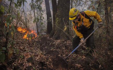 Aumenta a 17 el número de incendios forestales en Morelos; daños superan las mil 670 hectáreas