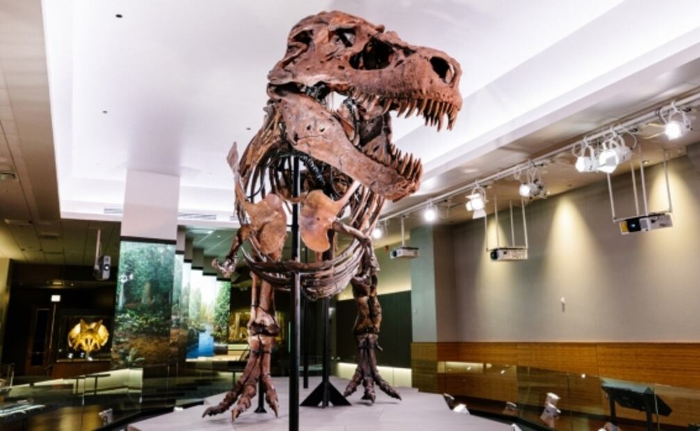 Chicago para principiantes: 7 razones para visitar esta ciudad