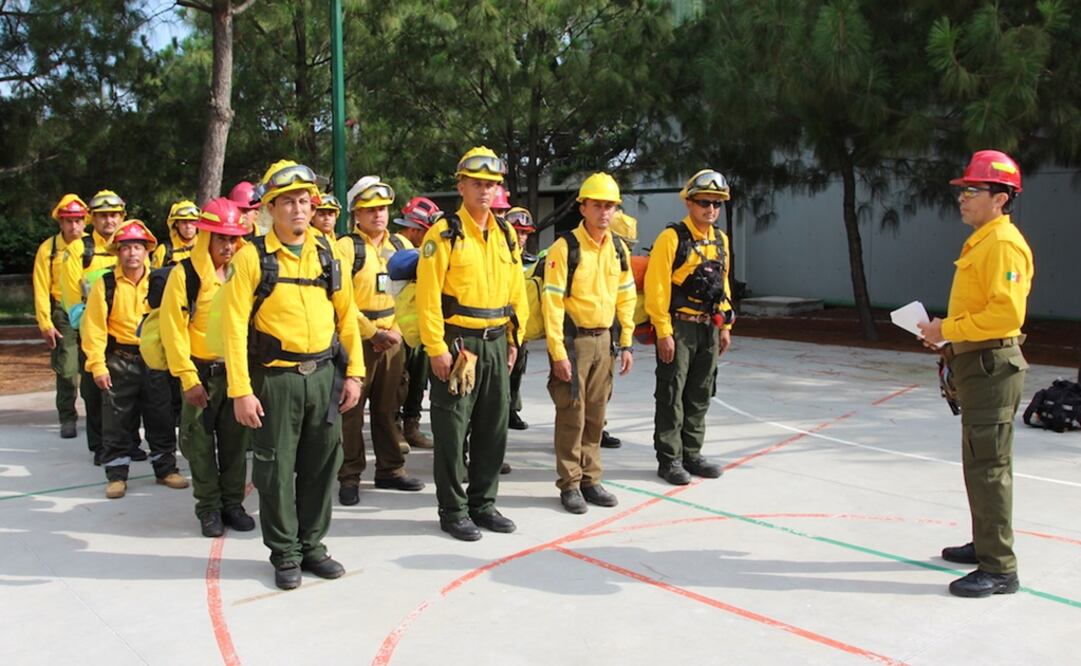 Foto: Cortesía Conafor