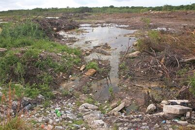 Se violaron 2 normas ambientales en Tajamar