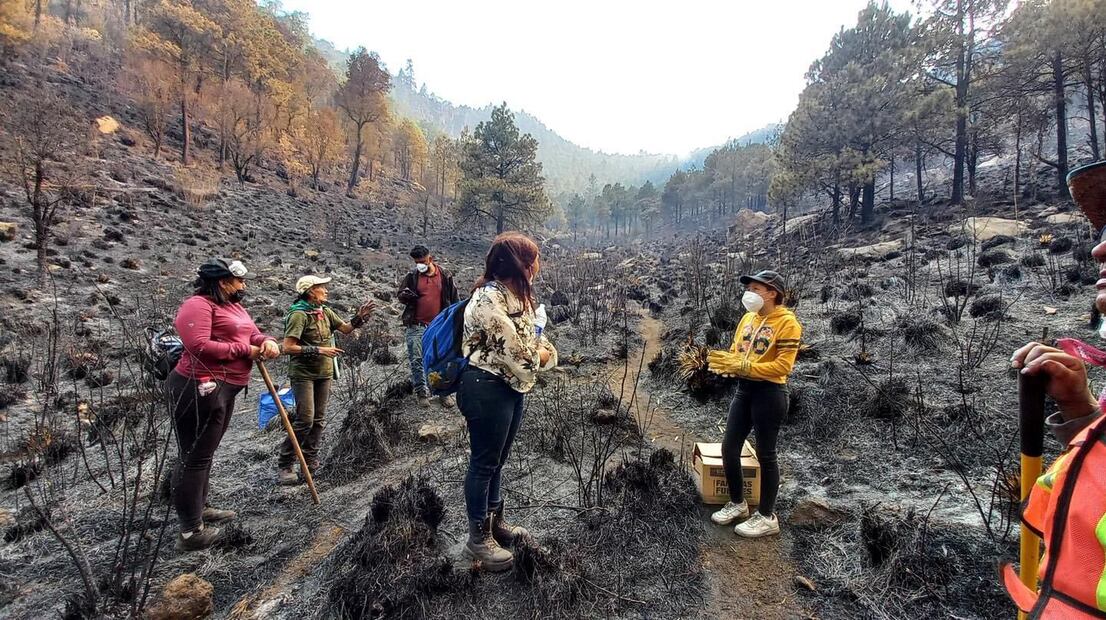 Equipos de emergencias y brigadistas voluntarios no han dejado de trabajar para extinguir el fuego. (FOTO: especial)