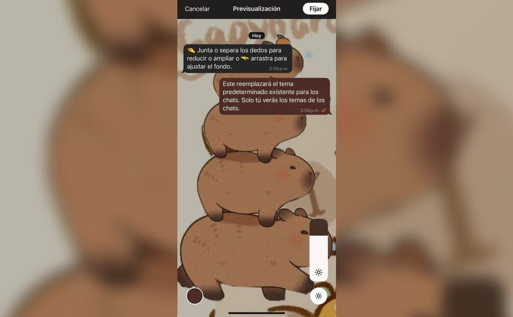 Captura de pantalla