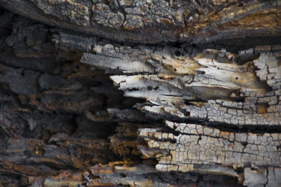 “Misión 2030”, una ópera para pensar cómo la humanidad podrá asentarse en Marte