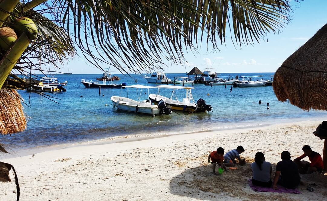 El futuro de los corales, entre la desolación y la esperanza
