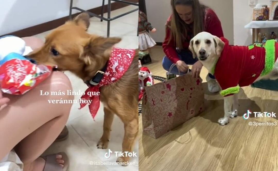 Foto: Captura videos de TikTok.
