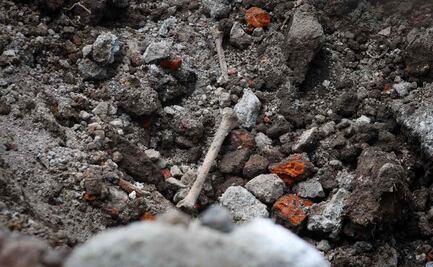 Titular de Comisión de Búsqueda de Personas en CDMX confirma hallazgo de restos óseos en construcción de Reforma; investigan procedencia