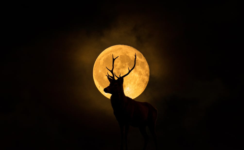 Conoce el significado de esta luna y su nombre. 
Foto: El Universal