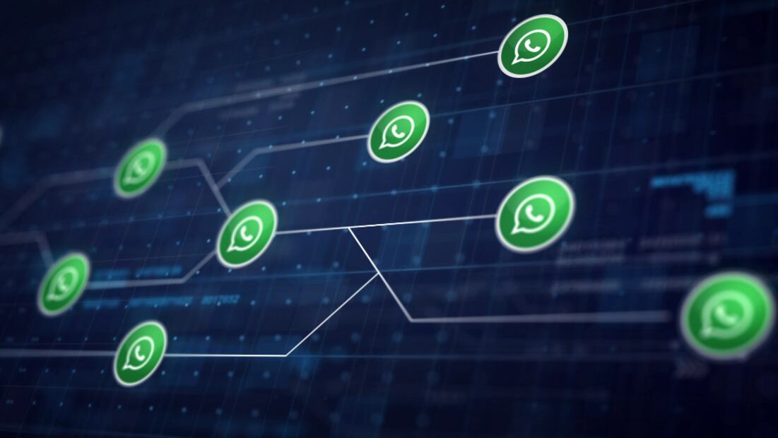 Cómo recuperar número de WhatsApp. Foto: Freepik