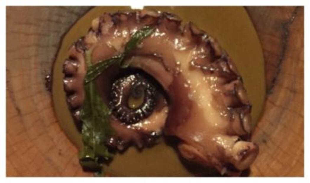 Noma: la cena de la que todos hablan