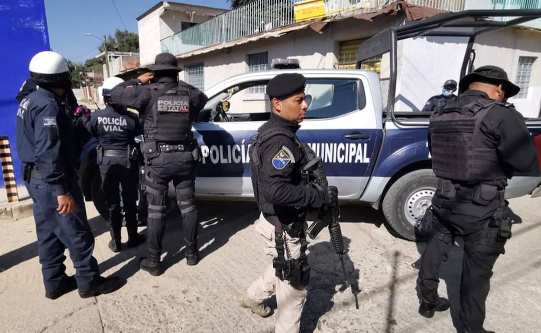 Caninos han ayudado a encontrar cuerpos humanos. Foto: Especial