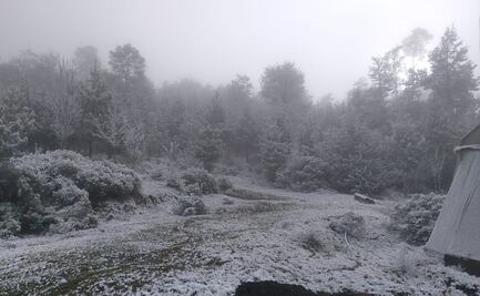 Suspenden clases en algunas regiones de Hidalgo por bajas temperaturas; se registran hasta menos 3 grados
