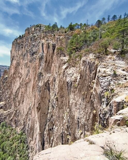 A la cascada llega agua que desemboca del río Basaseachi, el cual se localiza en el municipio de Ocampo. Sin embargo, debido a que todos los ríos de la entidad están secos, no ha caído agua en esa zona. Foto: Javier Bonilla