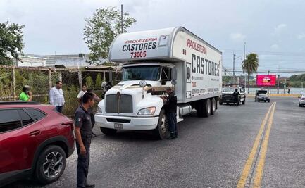 VIDEO: Captan a presunto trabajador de Paquetería Castores mientras roba una iguana verde en Tuxpan; reportan su detención