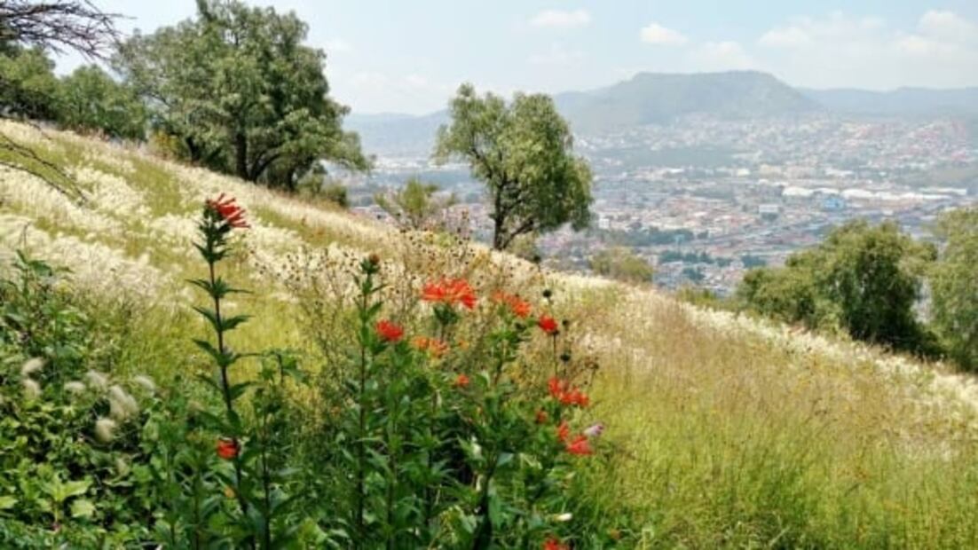 Cuáles son los 8 parques nacionales de CDMX