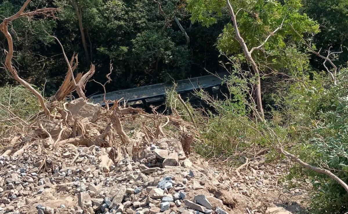 Tren Interoceánico se descarrila con 250 personas a bordo en Oaxaca; Sheinbaum reporta atención inmediata. Foto: Especial