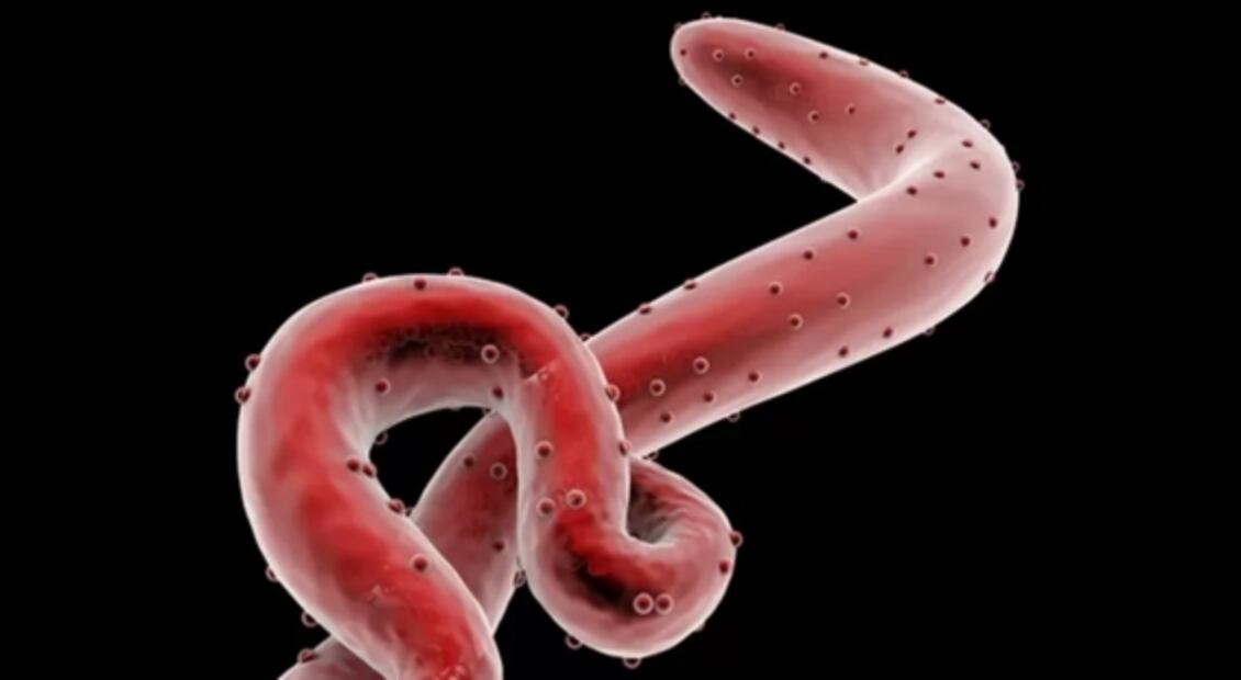 ¿Cuáles son los virus que permanecen escondidos en el cuerpo y rebrotan décadas después?