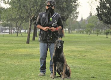 Adiestramiento canino: el hobby que lo salva en pandemia