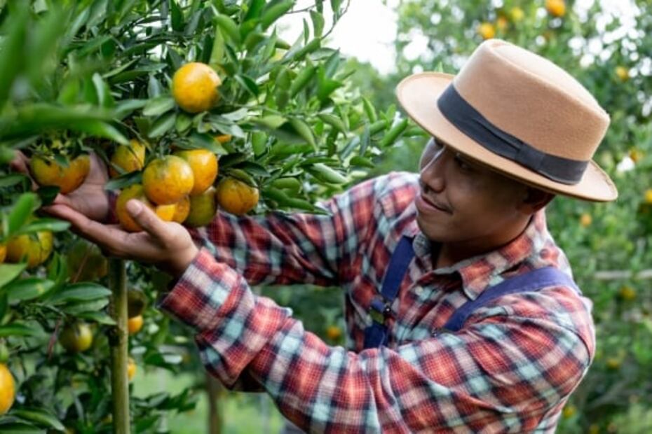 Estas son las tendencias gastronómicas para el 2023