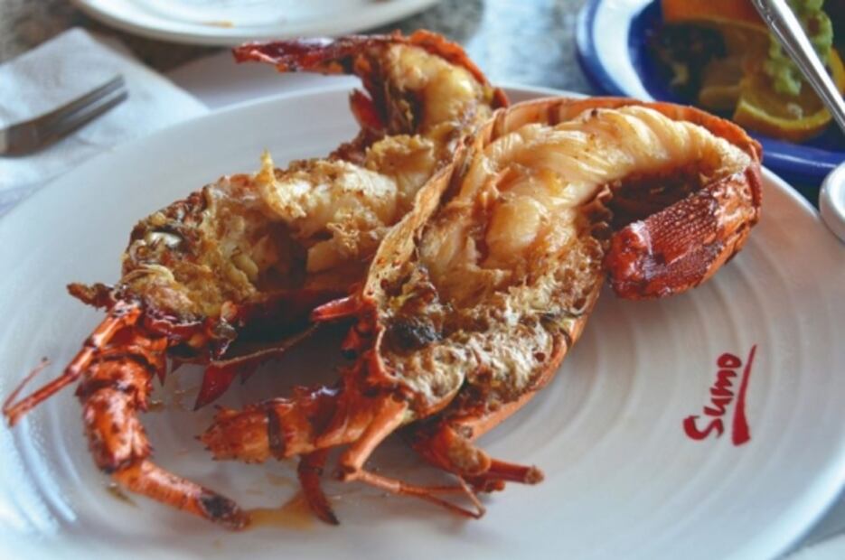 Buscan resaltar la cocina mexicana con viajes gastronómicos