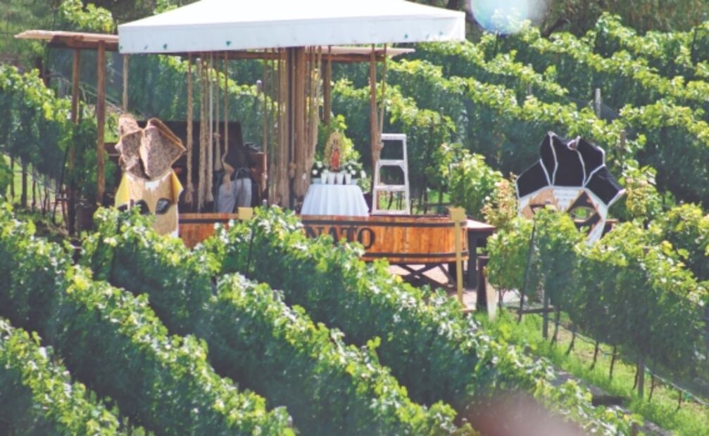 ¡A pisar las uvas! 8 fiestas de la vendimia en Querétaro