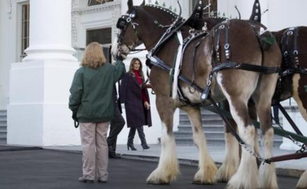 Recibe Melania Trump primer árbol de Navidad de la Casa Blanca