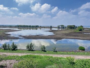 Laguna de Zumpango muestra recuperación, tras las lluvias