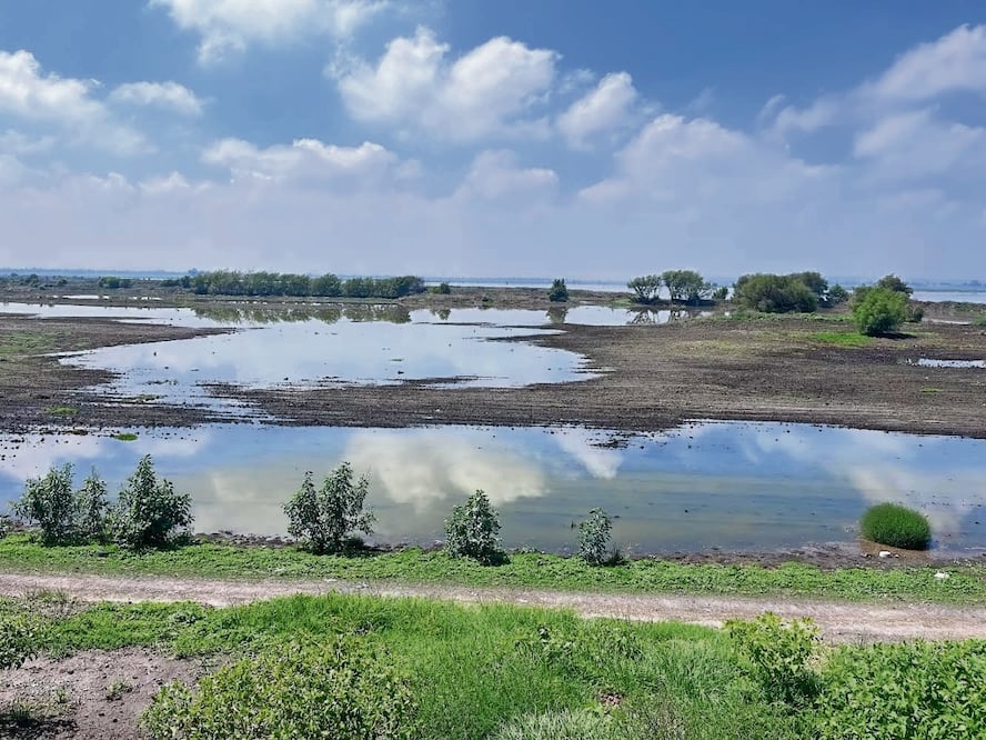 La Laguna de Zumpango fue declarada como Área Natural Protegida en 2003. La recuperación de este cuerpo de agua puede beneficiar a 4 millones de habitantes, de acuerdo con las autoridades. Foto: de Arturo Contreras. El Universal