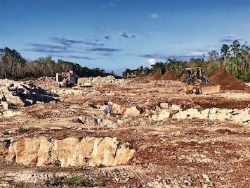Por daños ambientales, el Tren Maya podría colapsar: especialistas