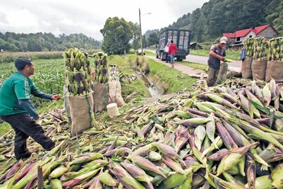 Preocupa a sector agropecuario el acuerdo con Brasil