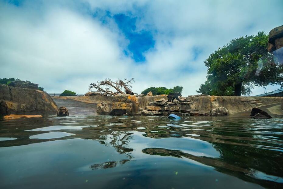 Foto: Oakland Zoo