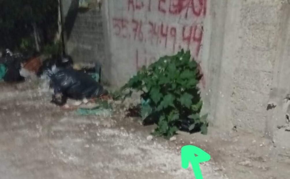 La bebé fue hallada debajo de unos matorrales al interior de una bolsa de color negro, en la calle Cuitláhuac (23/05/2025). Foto: Especial