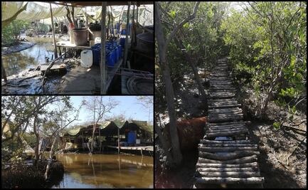 Localizan laboratorio clandestino de drogas sintéticas entre manglares en Navolato, Sinaloa