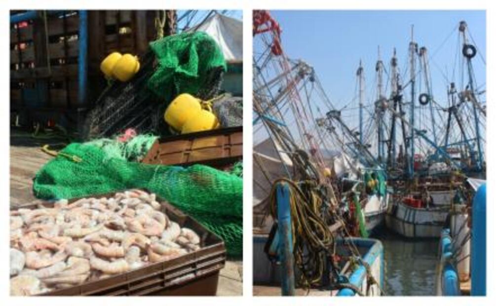 Los mejores aguachiles están en Mazatlán