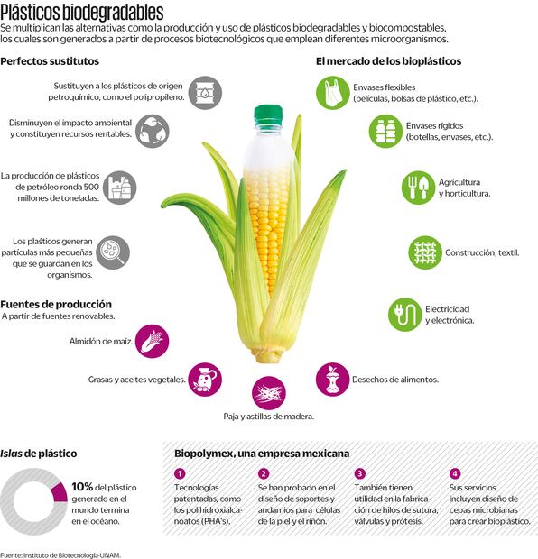 Fuente: Instituto de Biotecnología - UNAM