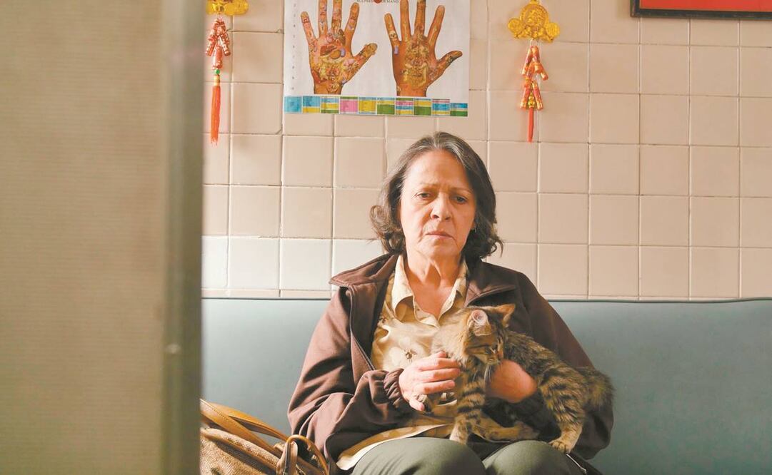 Nora Velázquez, quien interpreta al personaje de Matilde, dice que el filme retrata una violencia que se ve en diferentes partes del mundo, y que se agudiza más en algunos. Foto: Alebrije Cine y Video.
