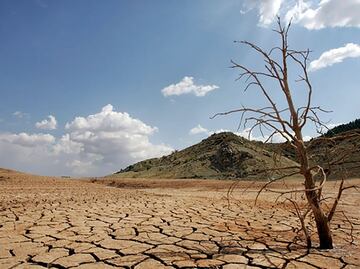 Daños económicos por sequías subirán al menos 35% en una década: OCDE; afirma que soluciones prácticas reducirían la vulnerabilidad