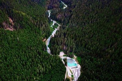 Conoce la 'lengua de troll'