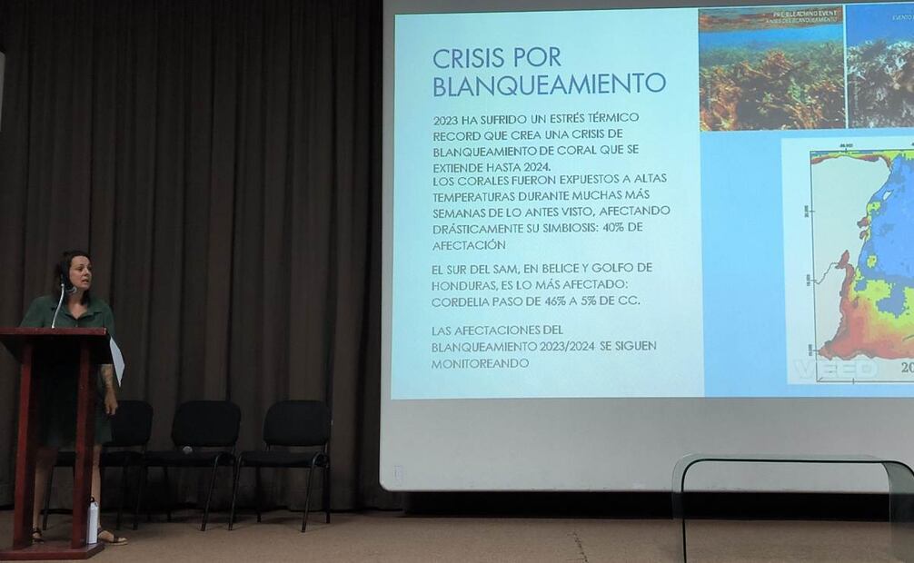 Exposición de crisis por blanqueamiento. (29/10/2024). Foto: Adriana Varillas