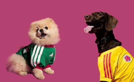 Adidas lanza jerseys para perros inspirados en el Mundial 2026