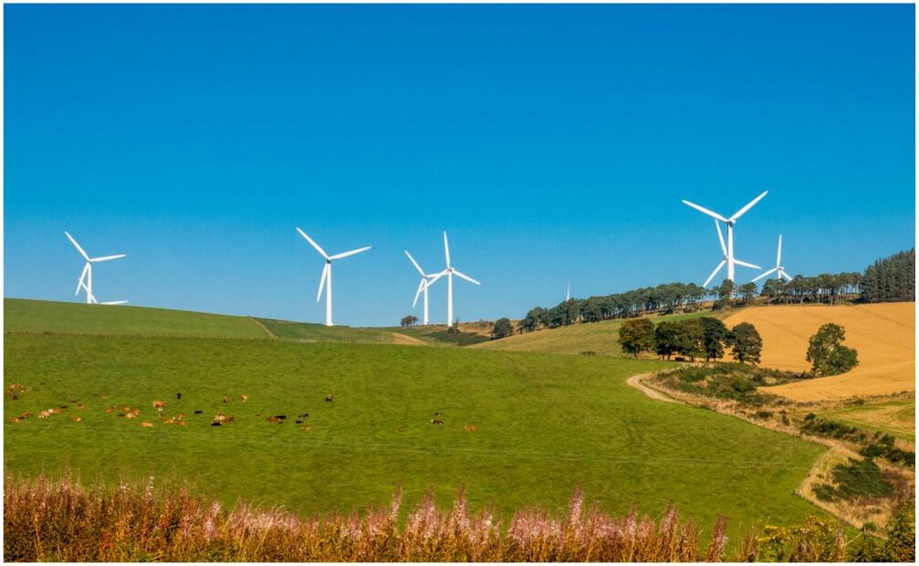La capacidad instalada de energía eólica en todo el país en este sexenio creció solamente 400 megawatts. Foto: archivo