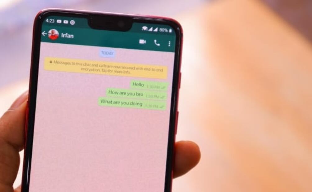 Verdulería en WhatsApp. En India puedes comprar verduras en la app