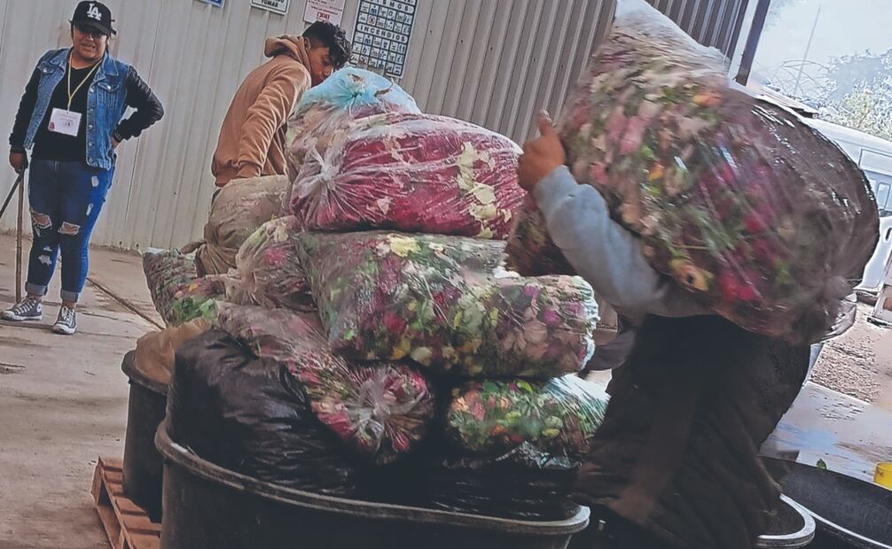 Unas 40 personas del pueblo suben a la cúpula de la iglesia de la Purísima Concepción para arrojar los pétalos que los asistentes recogen como recuerdo. Fotos Especiales