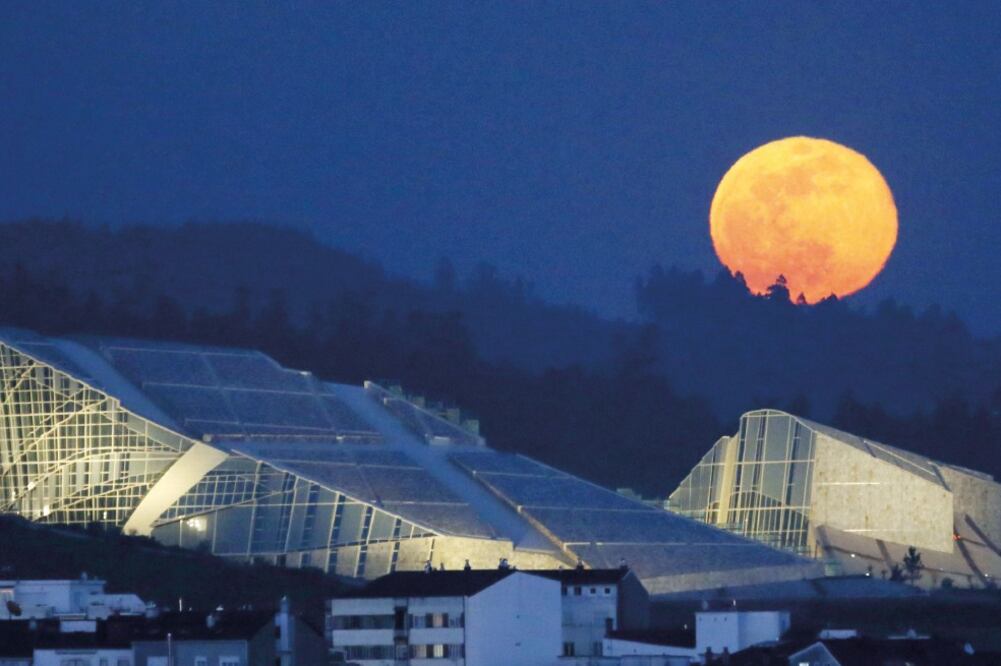 La “Luna Rosa”, según las historias contadas en torno al origen de dicho nombre, se llamó así en honor a las “Phlox Salvajes” (CHRISTIAN SERNA. CUARTOSCURO)