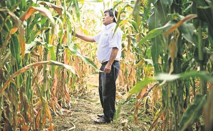 Ven en los bioinsumos una alternativa contra la inflación