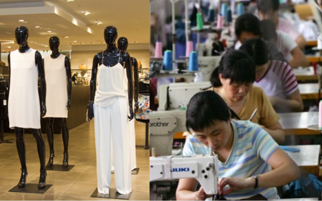 Marcas comienzan a fabricar ropa de desechos de madera, hongos y hasta algas. Crédito: Especial