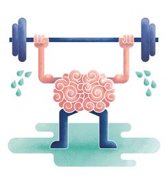 La serotonina puede acelerar el aprendizaje