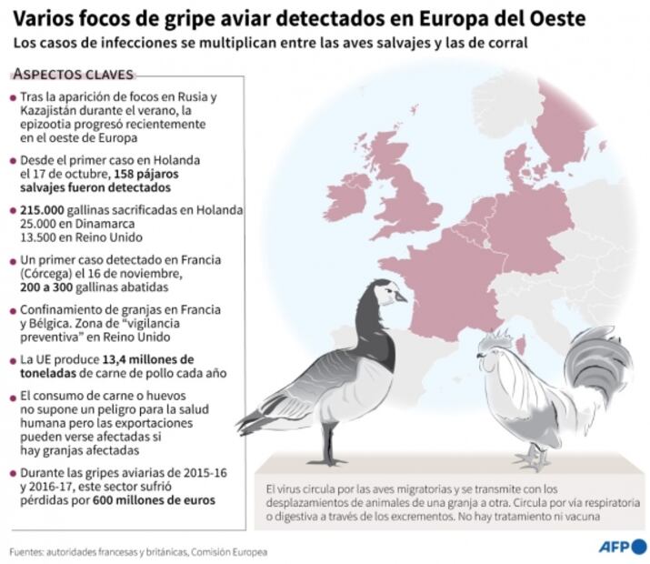 Además de Covid-19, estas son las epidemias animales que actualmente azotan a Europa